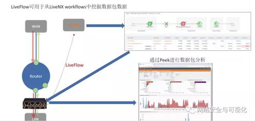 Livenx 开启下一代企业网络监控软件新纪元