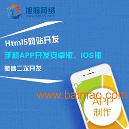 专业与定制并存 旭海网络以匠心科技助推软件开发新征程